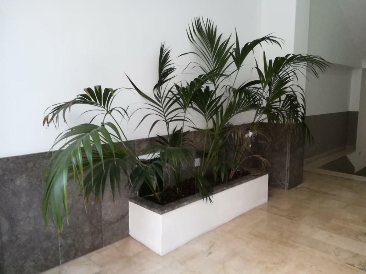 Tribunale Room Basement باليرمو المظهر الخارجي الصورة